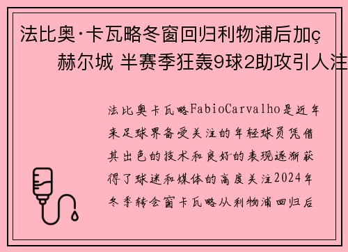 法比奥·卡瓦略冬窗回归利物浦后加盟赫尔城 半赛季狂轰9球2助攻引人注目